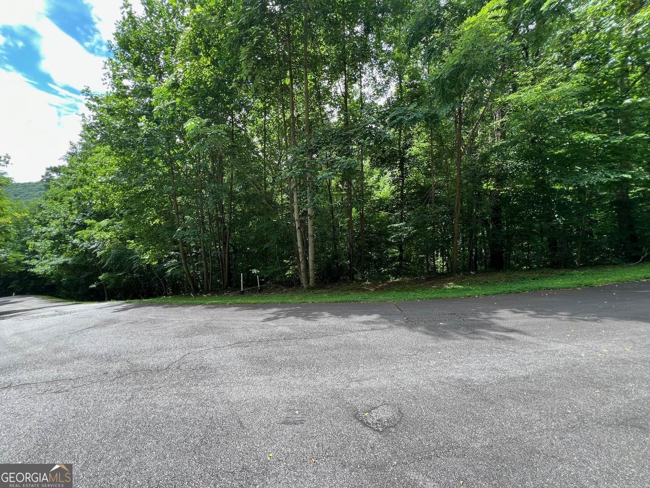 0 Overlook Drive - Photo 1