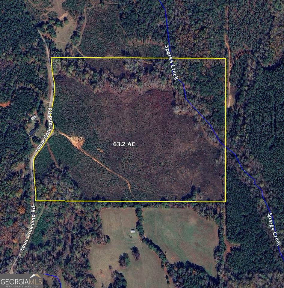 0 Louie Copeland, Shiloh, GA 31826 (MLS 10345930) RE/MAX Center