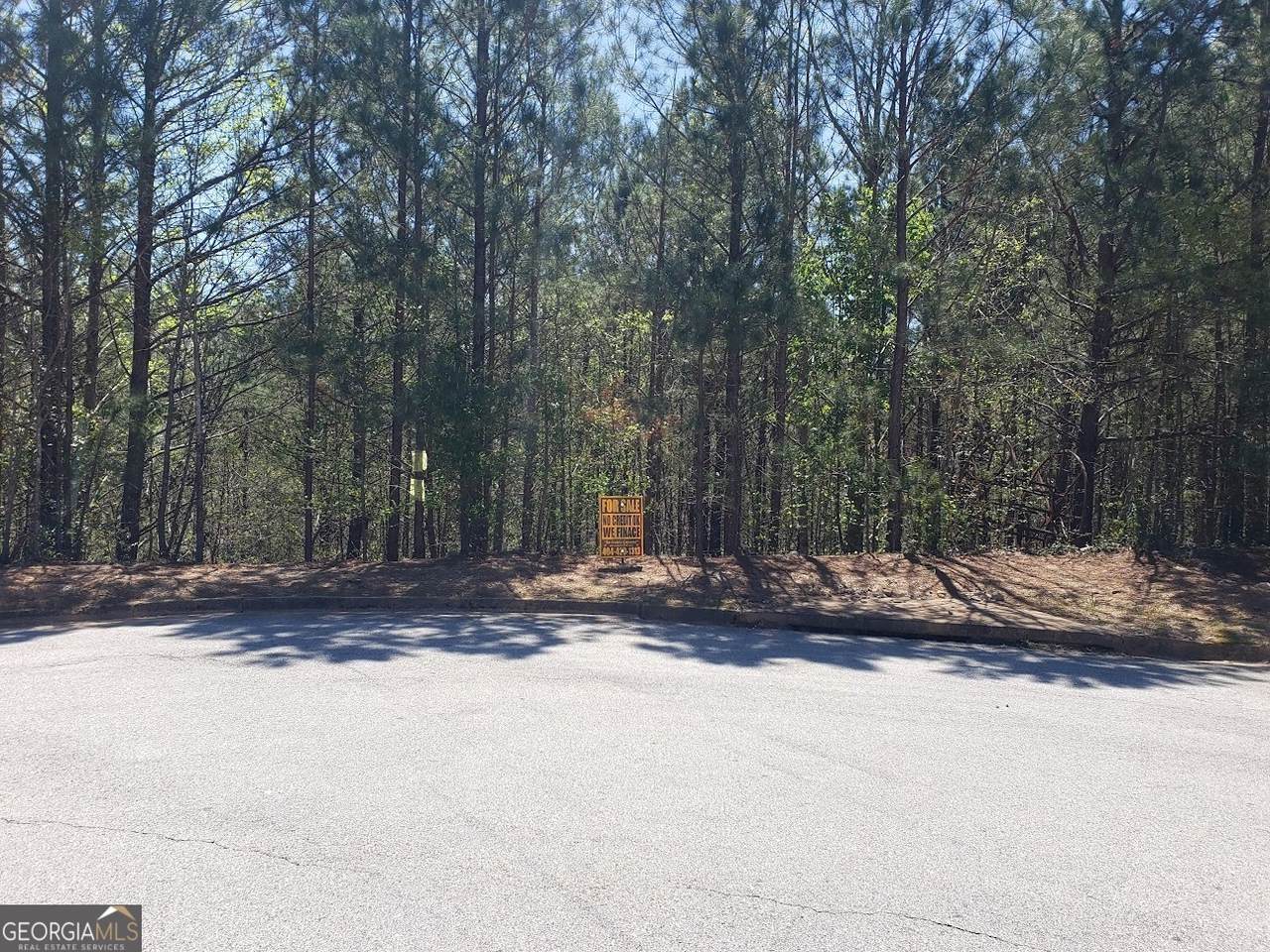 36 Fieldcrest Way - Photo 1