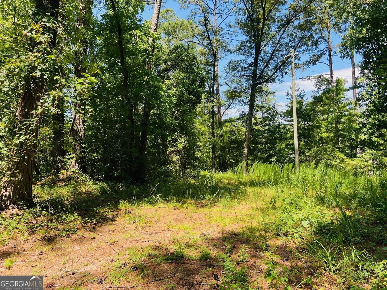 2930 Bonds Lake Road - Photo 1
