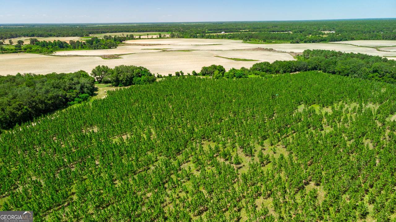 0 Graves Springs Road - Photo 1