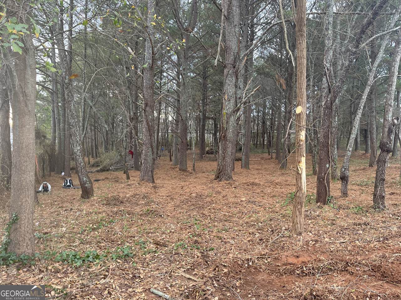 0 Elrod Circle - Photo 1