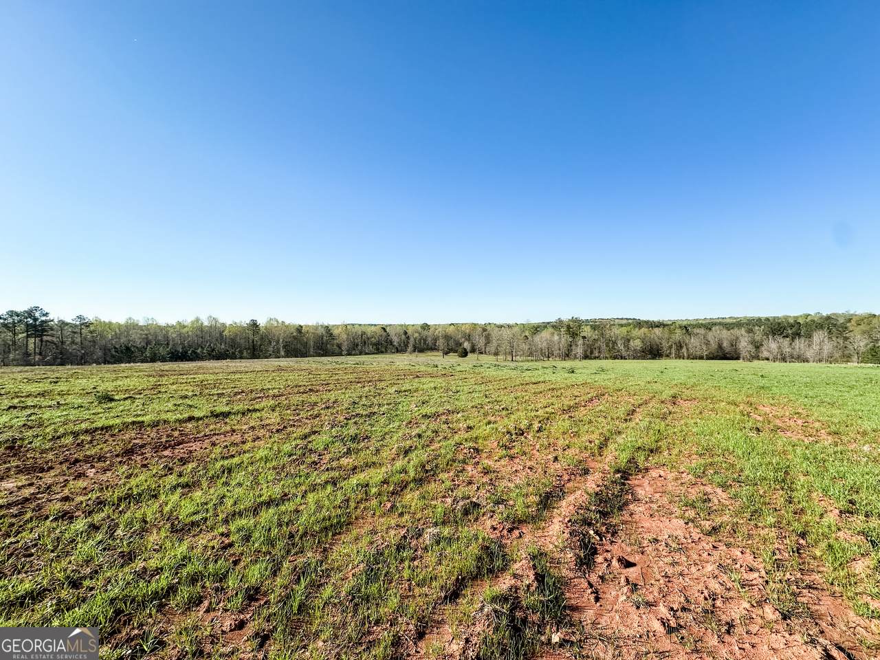 0 Old Adgateville Road - Photo 1