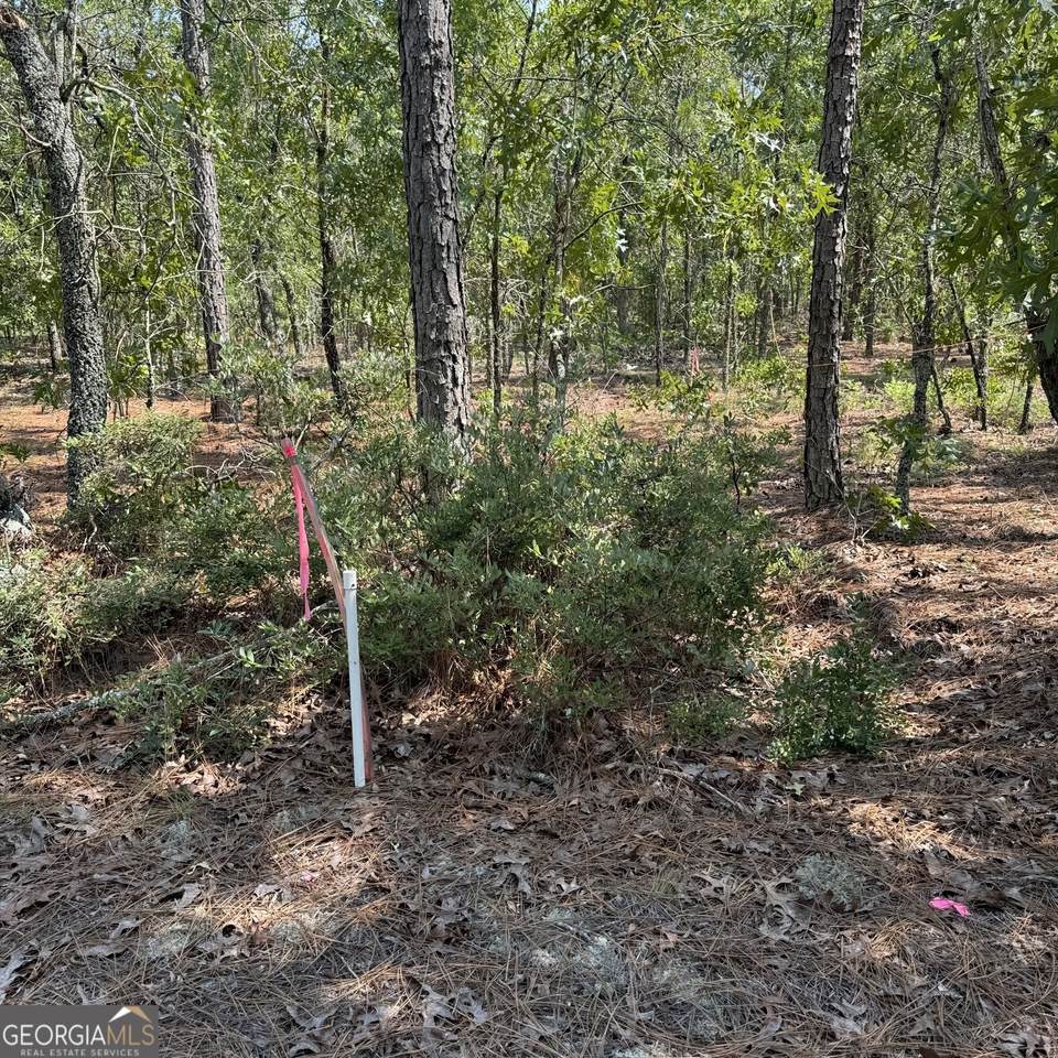 0 Hwy 46 - Photo 1