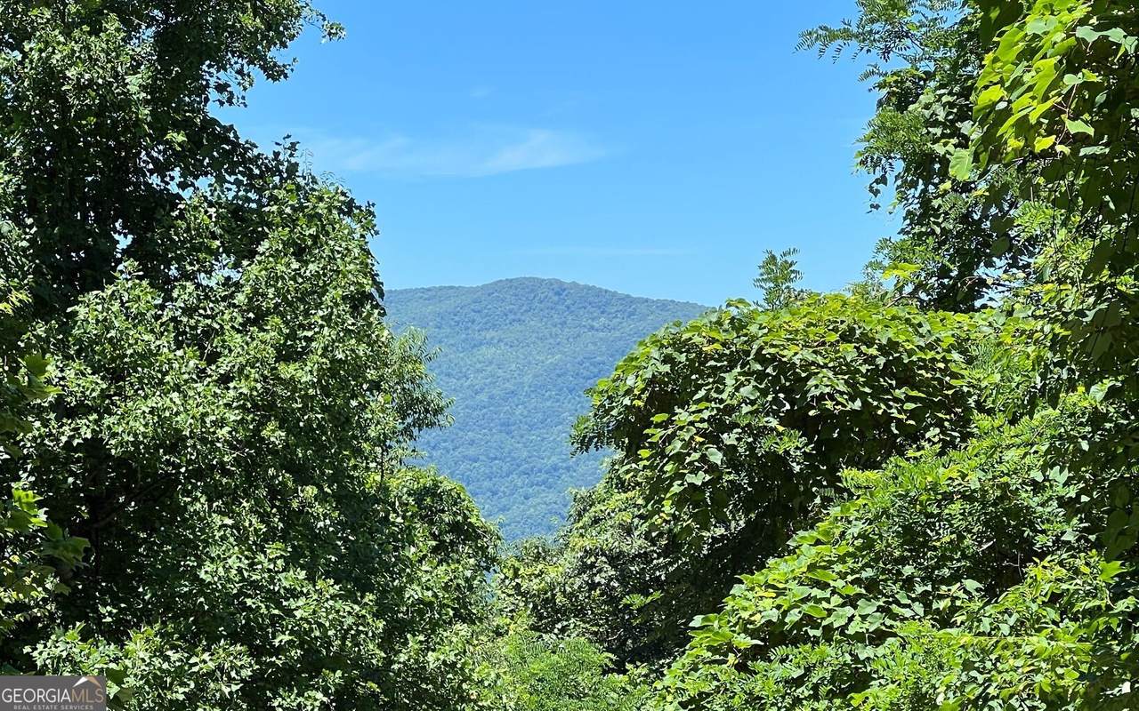 101 AC Lori's Mountain - Photo 1