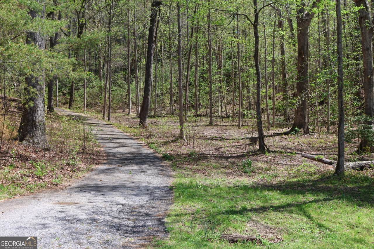 0 Chestatee Drive - Photo 1