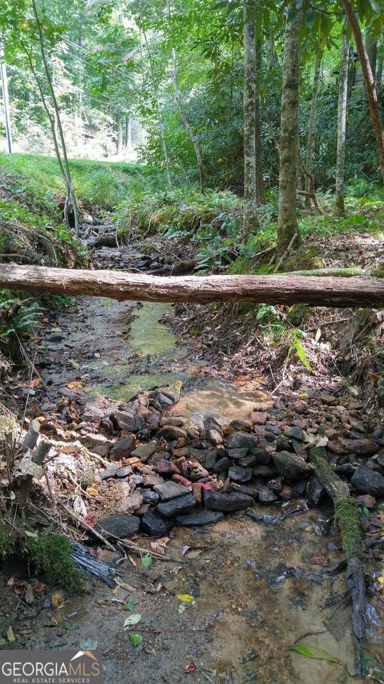 0 Bald Mountain Road - Lot 8 - Photo 1
