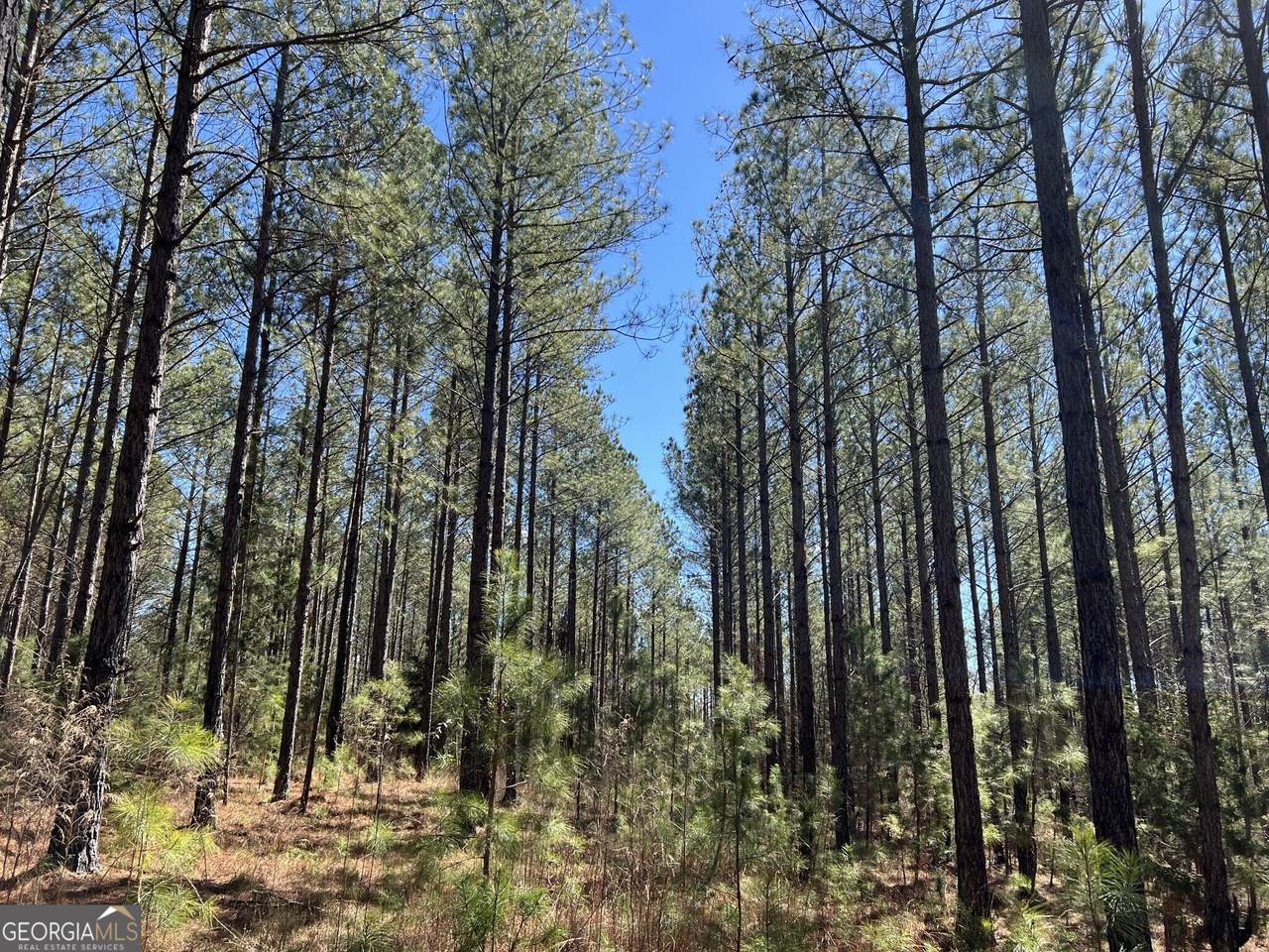 TRACT B1 Hulmes Chapel Road - Photo 1