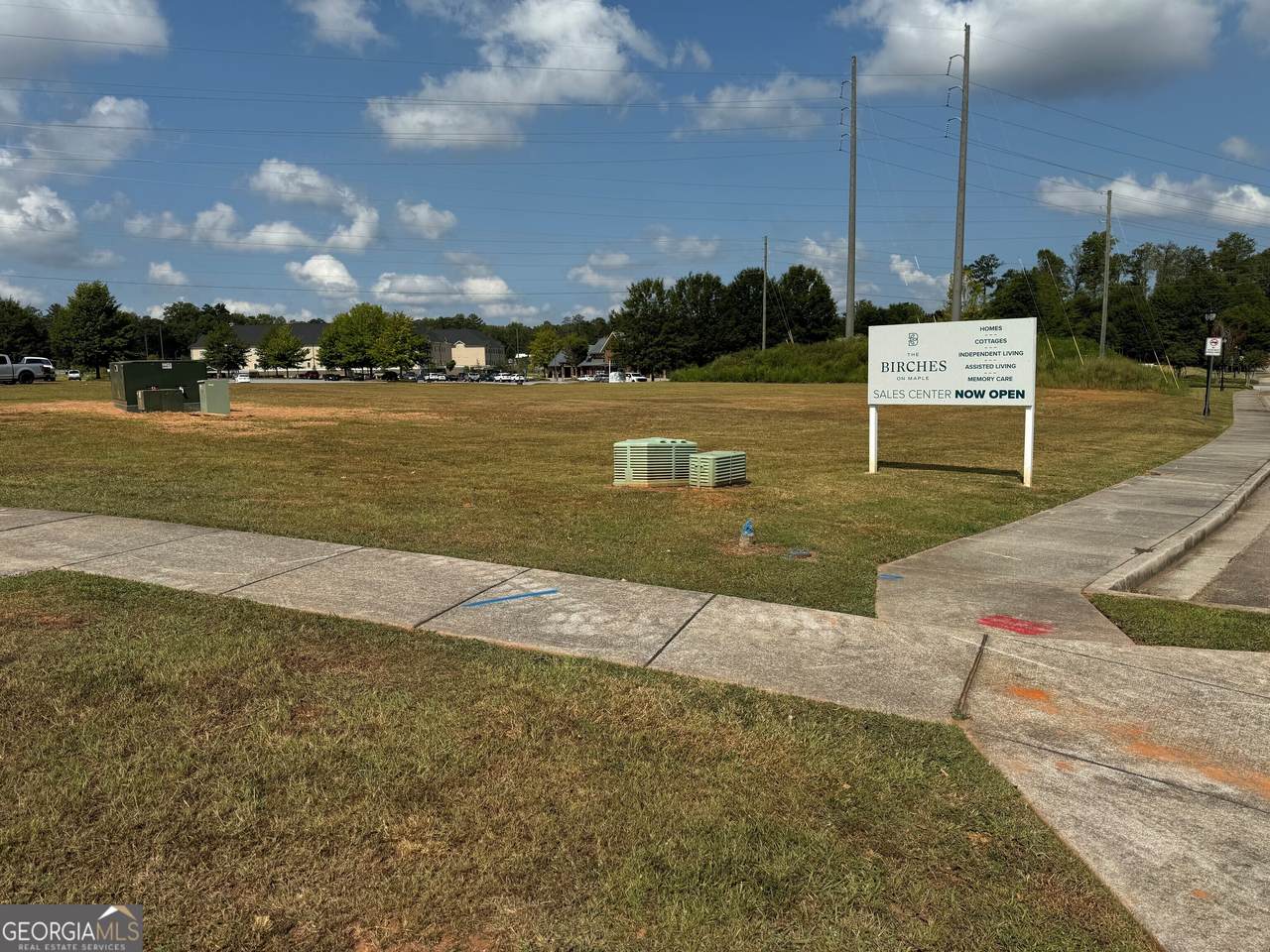 130 Maple Crossing - Photo 1