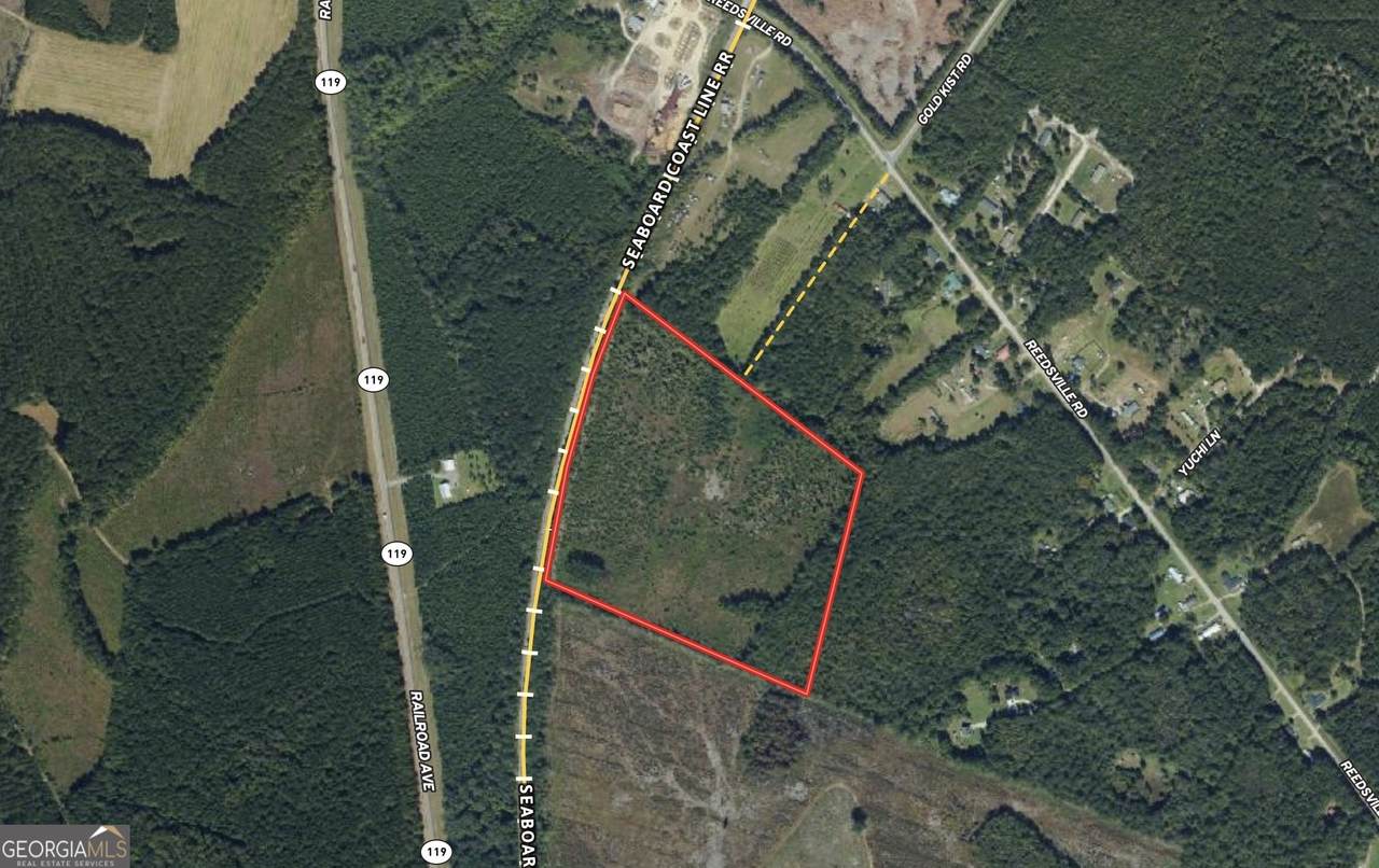 0 Reidsville Road - Photo 1