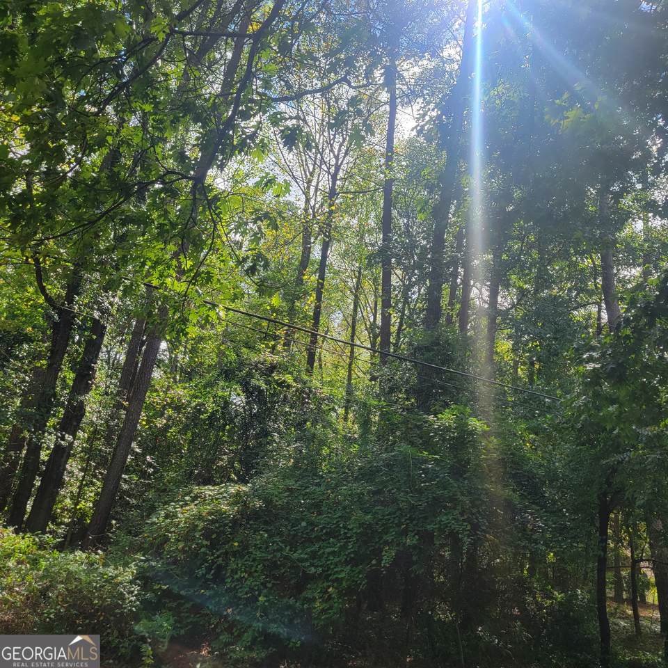 0 Bohannon - Photo 1