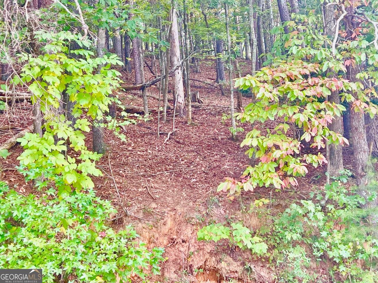 12 Cherokee Drive - Photo 1