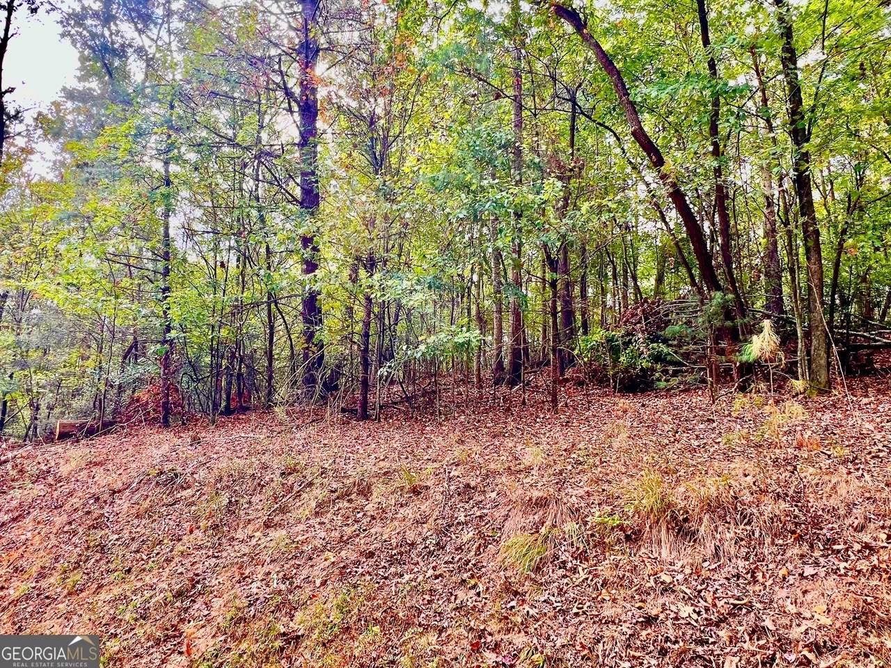 573 Cataula Court - Photo 1