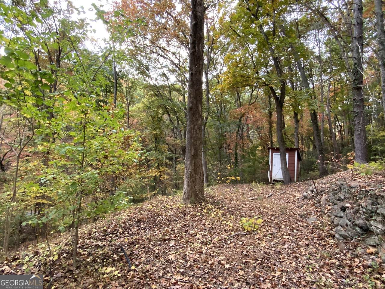 224 Magnolia Drive - Photo 1