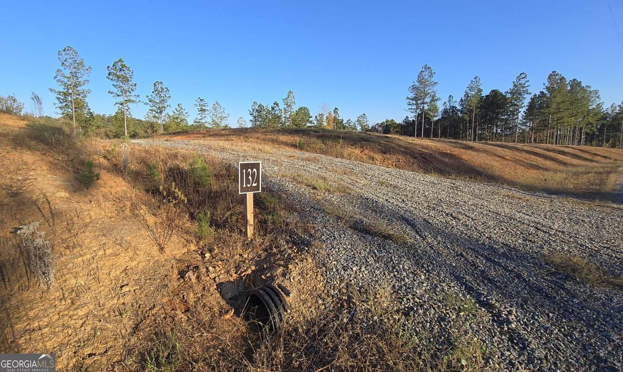 LOT 132 River Reach Lane - Photo 1