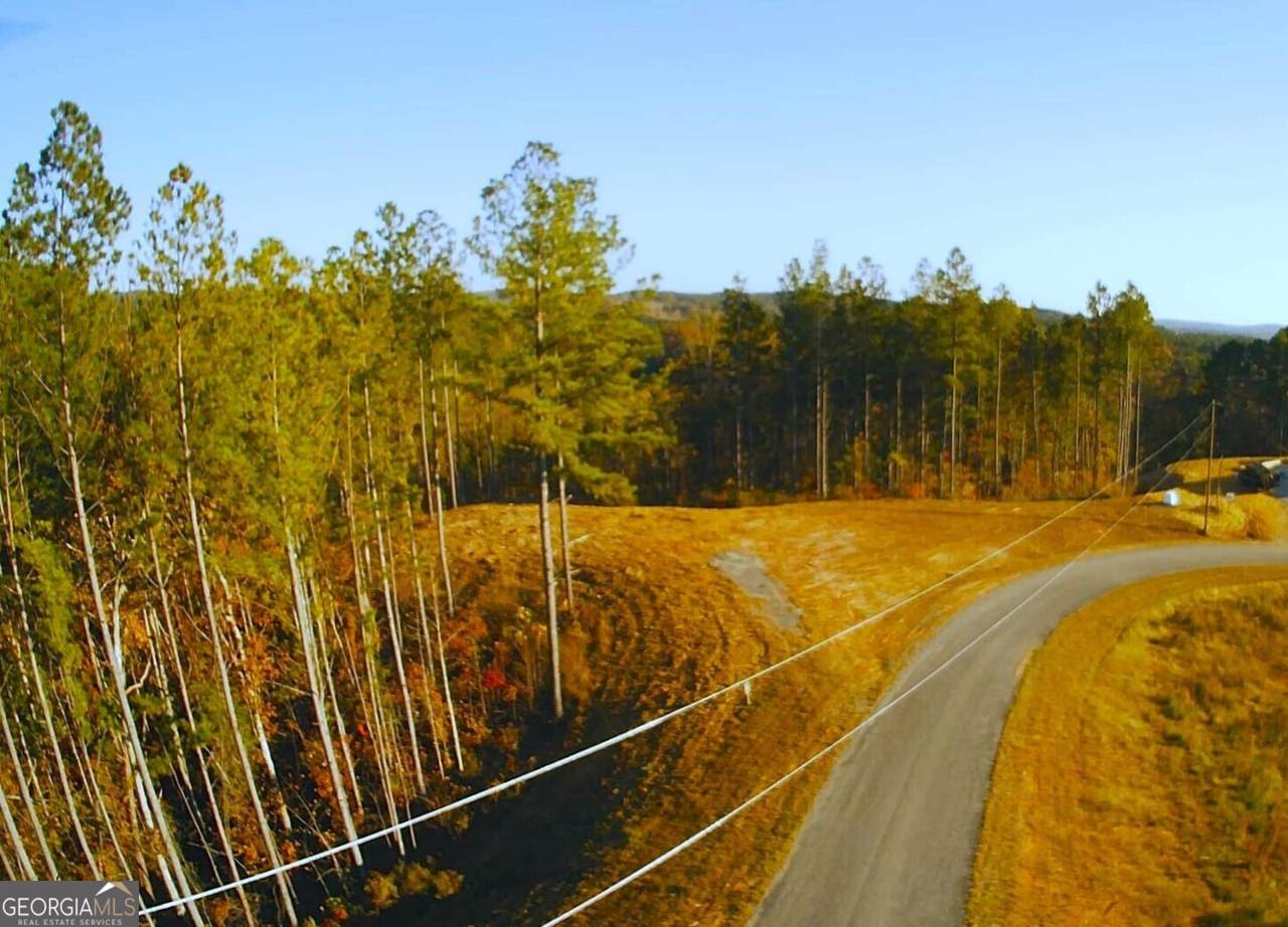 LOT 133 River Reach Lane - Photo 1