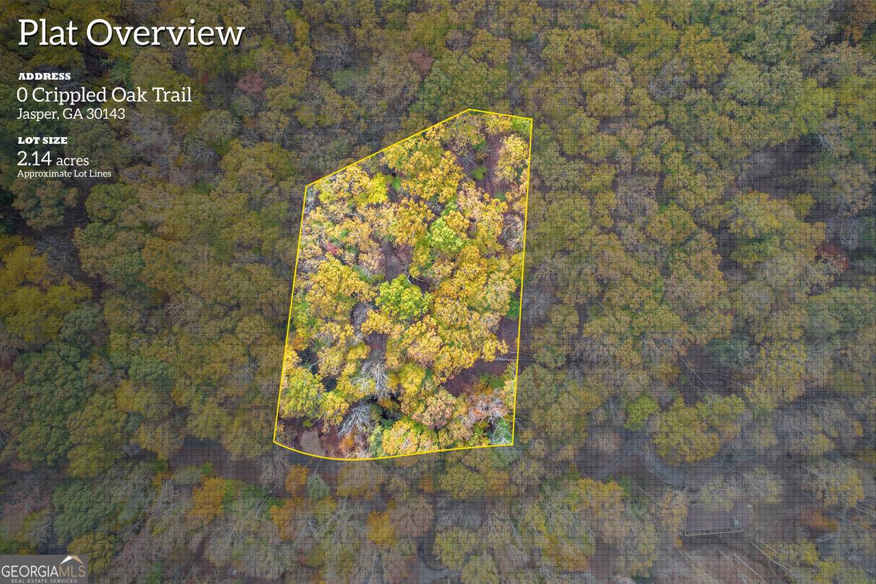 0 Crippled Oak Trail - Photo 1