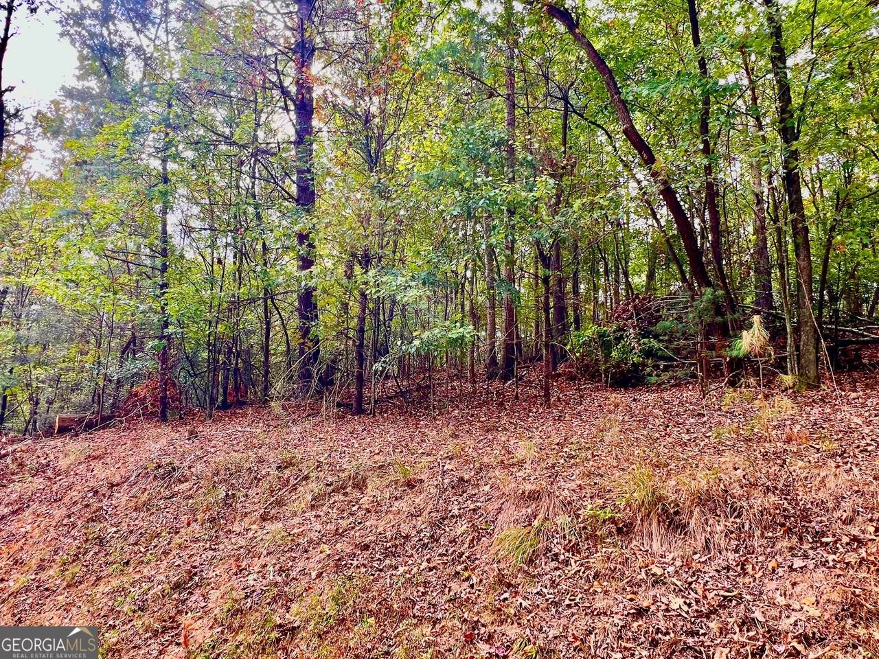 415 Chatawa Court - Photo 1