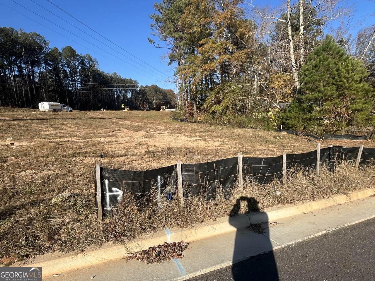 2499 Chestnut Log Loop - Photo 1