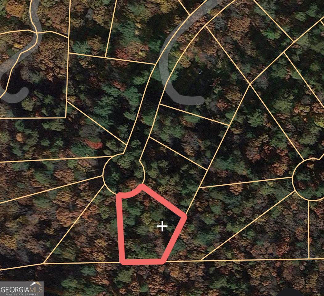 0 Juniper Trail - Photo 1