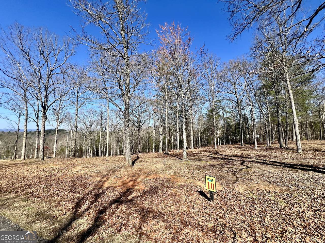 10 Arbor Creek Trail - Photo 1