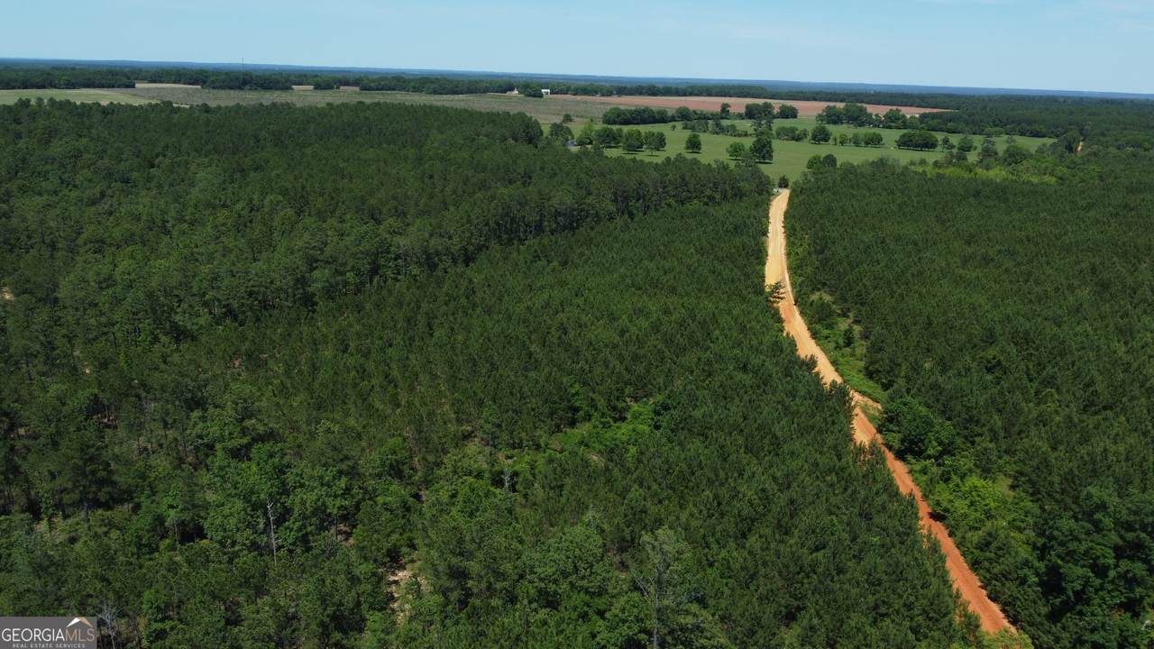 0 Brannon Montgomery Road - Photo 1