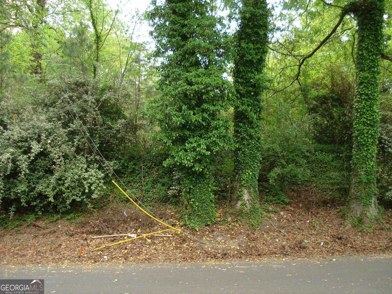 0 Morehouse Drive - Photo 1