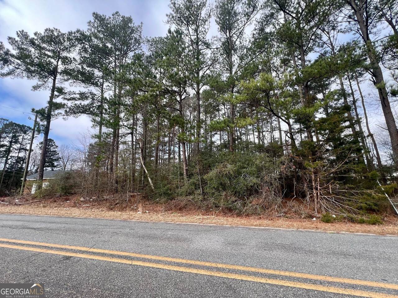 723 Allisha Gray Lane - Photo 1