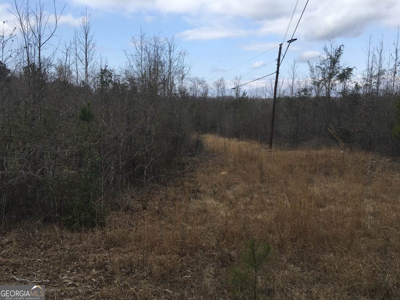 0 Dennard-Hardy Road - Photo 1