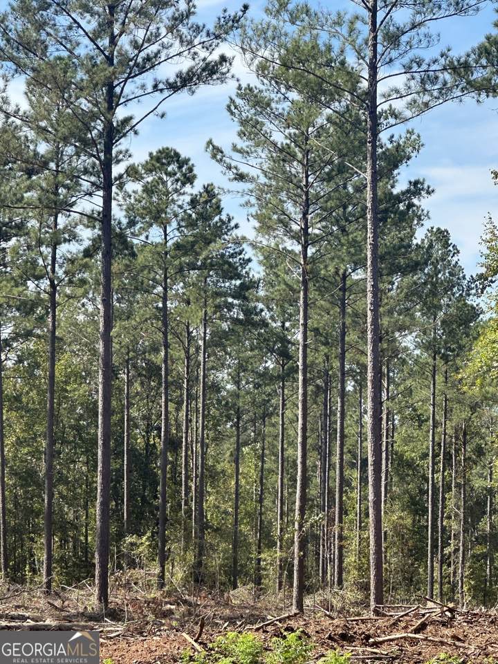 0 Seven Islands Road - Photo 1