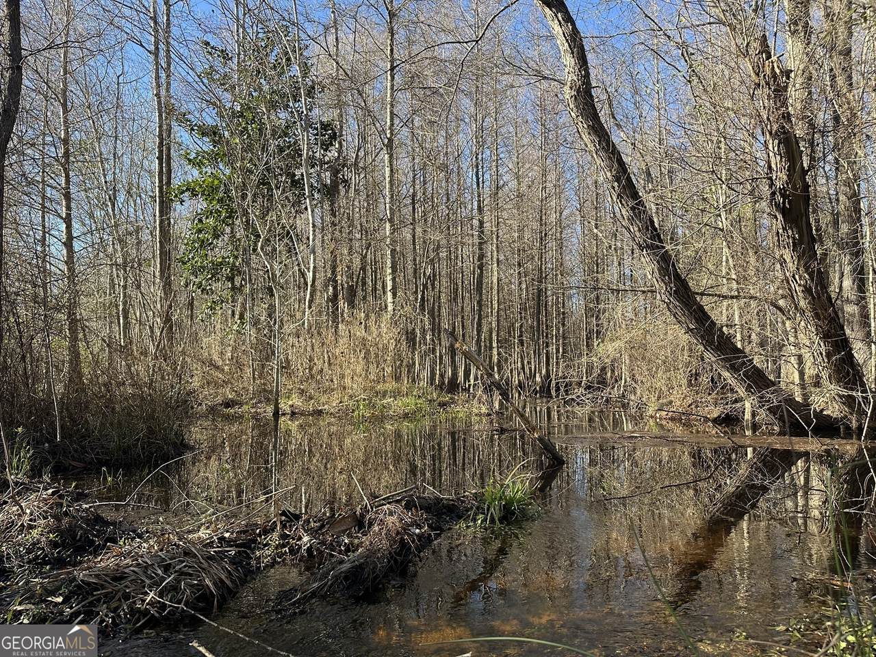 011 Mt Zion Road - Photo 1