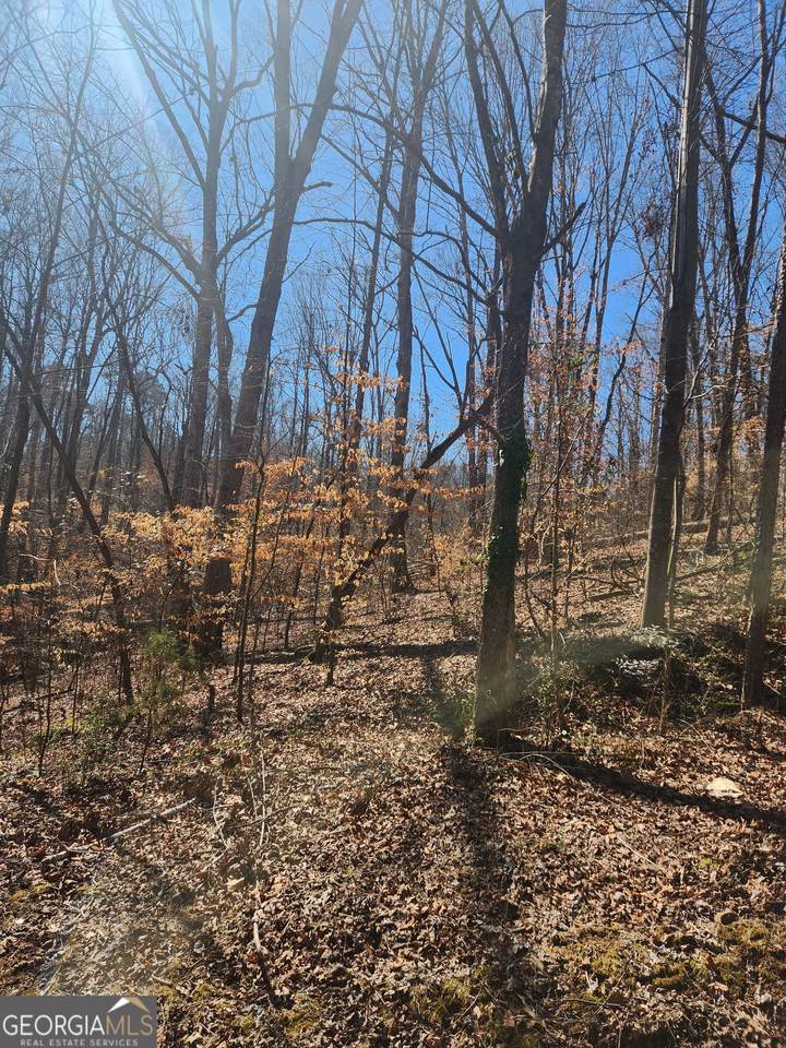 0 Ridgeview Court - Photo 1