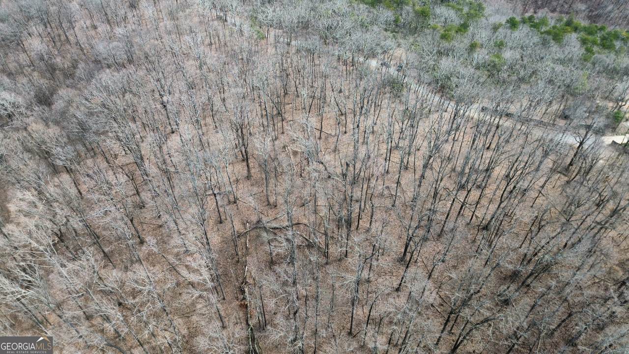 0 Clearview Drive - Photo 1