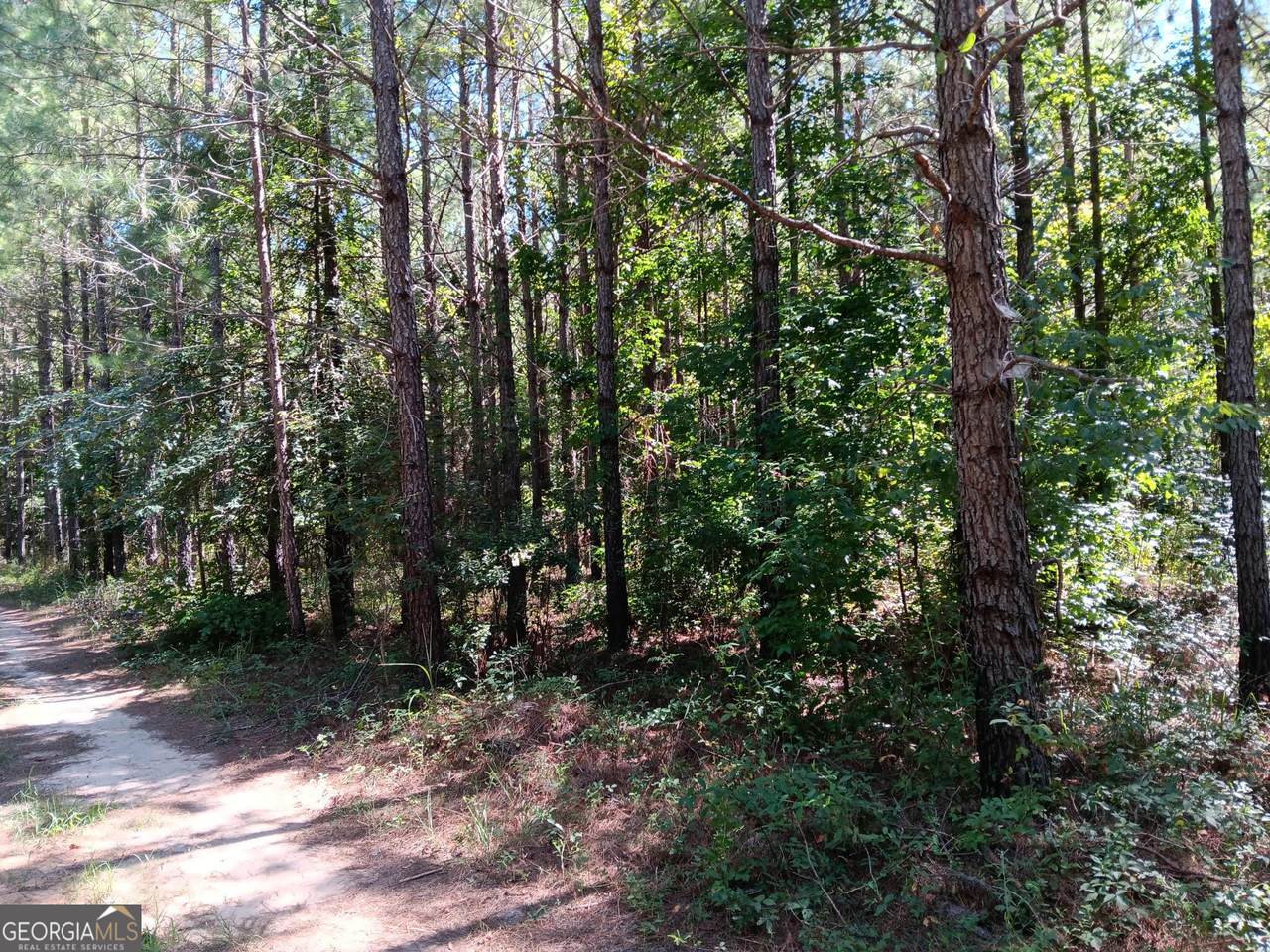 1083 Talbotton Highway - Photo 1