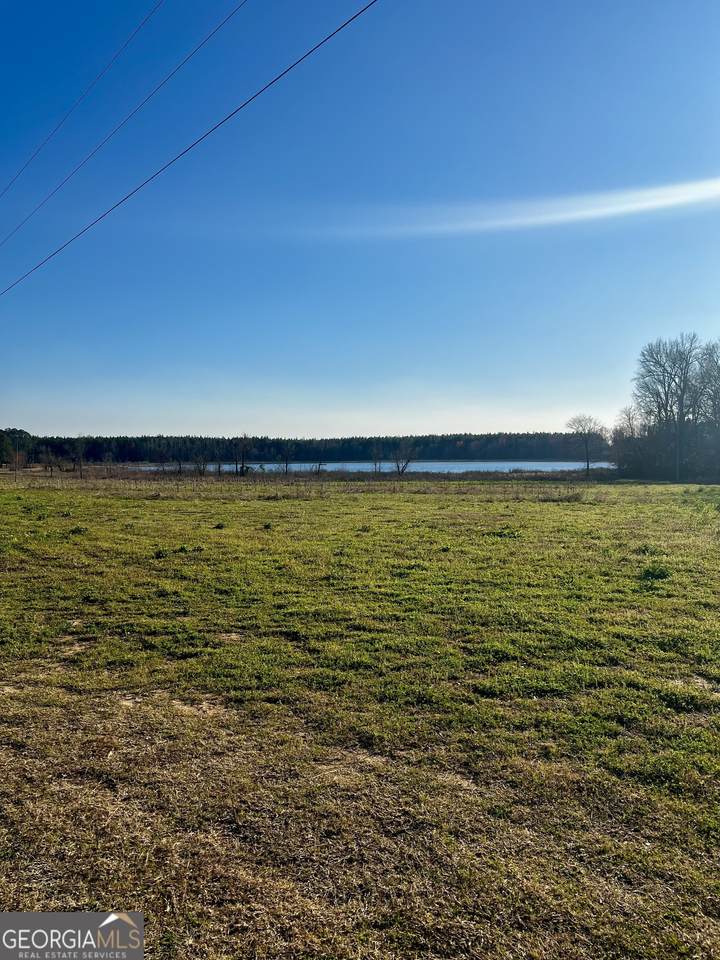 0 Mt. Olive Road - Photo 1