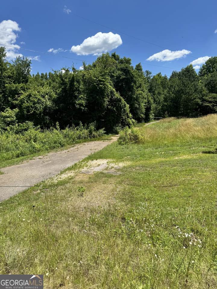 2883 Highway 441 - Photo 1