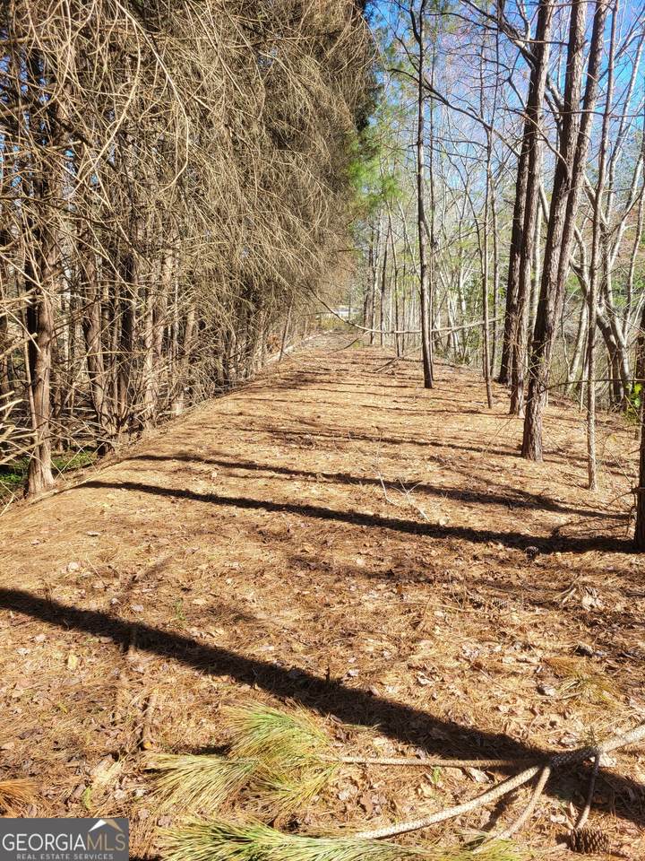 1805 Jodeco Road - Photo 1