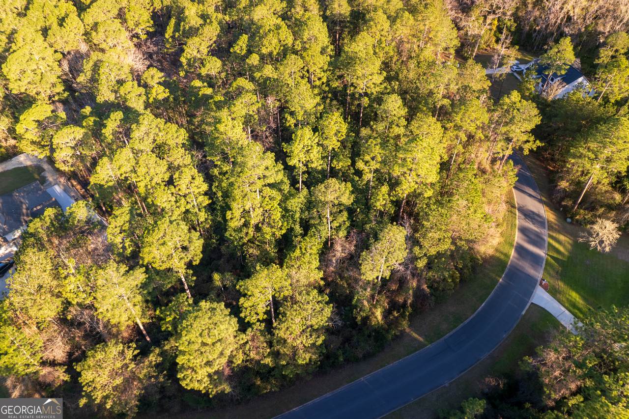 V/L 177 Sunrise Drive - Photo 1