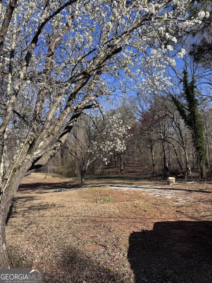 884 Dolly Nixon Road - Photo 1