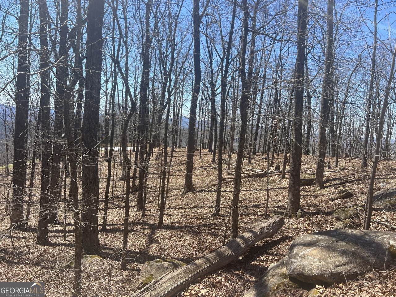 58 Mountainside Drive - Photo 1