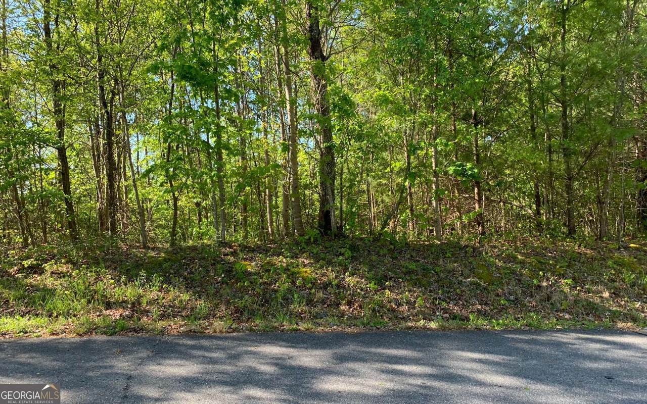 LOT 57 Fires Creek Cove - Photo 1