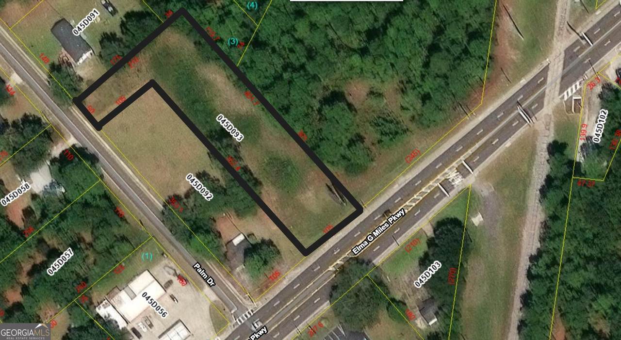 19 AC Elma G Miles Parkway - Photo 1