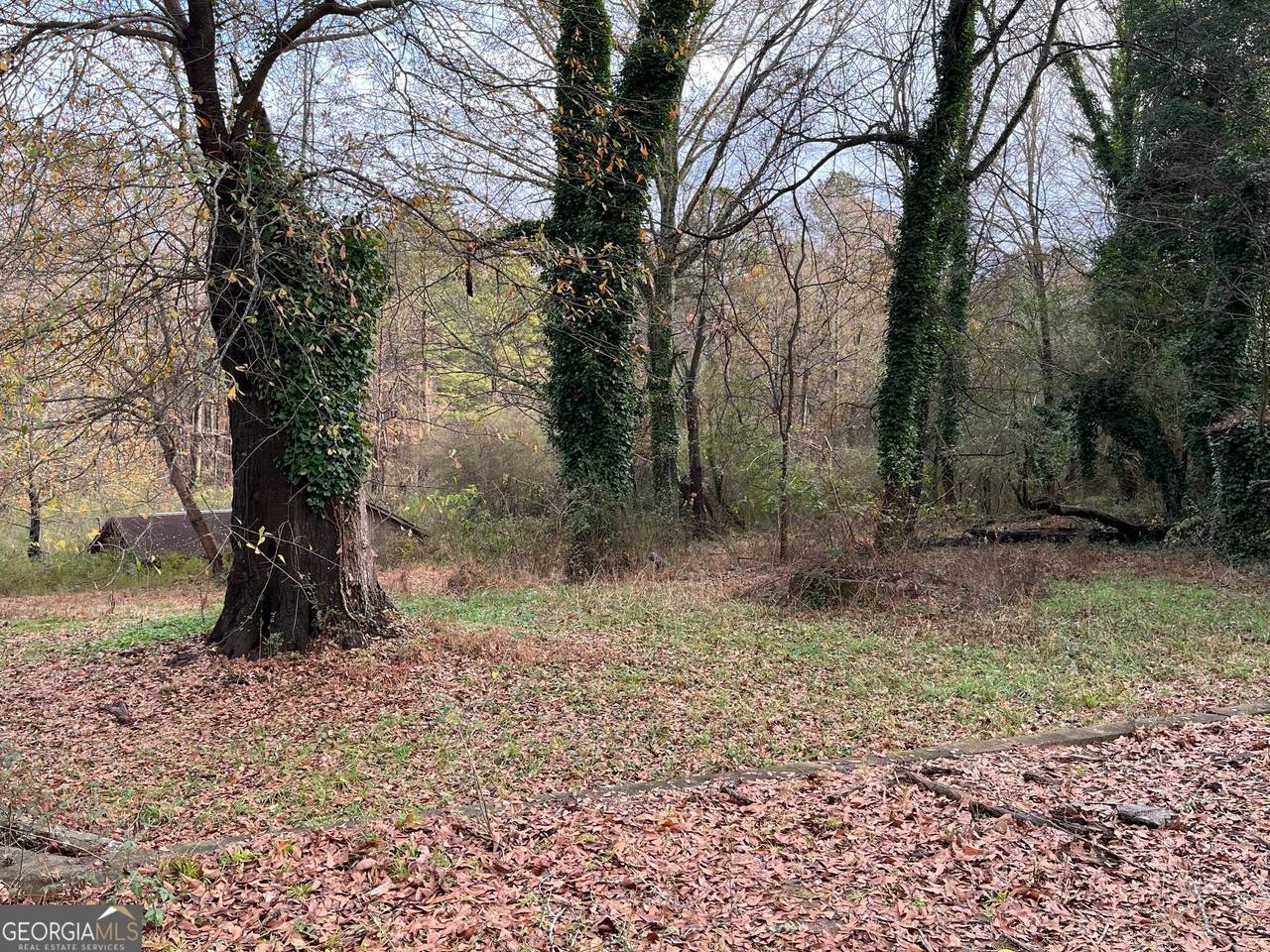 4060 Danforth Road - Photo 1