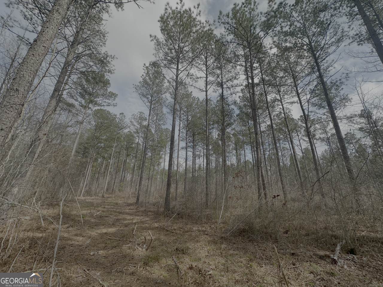 210.73 Acres - Photo 1