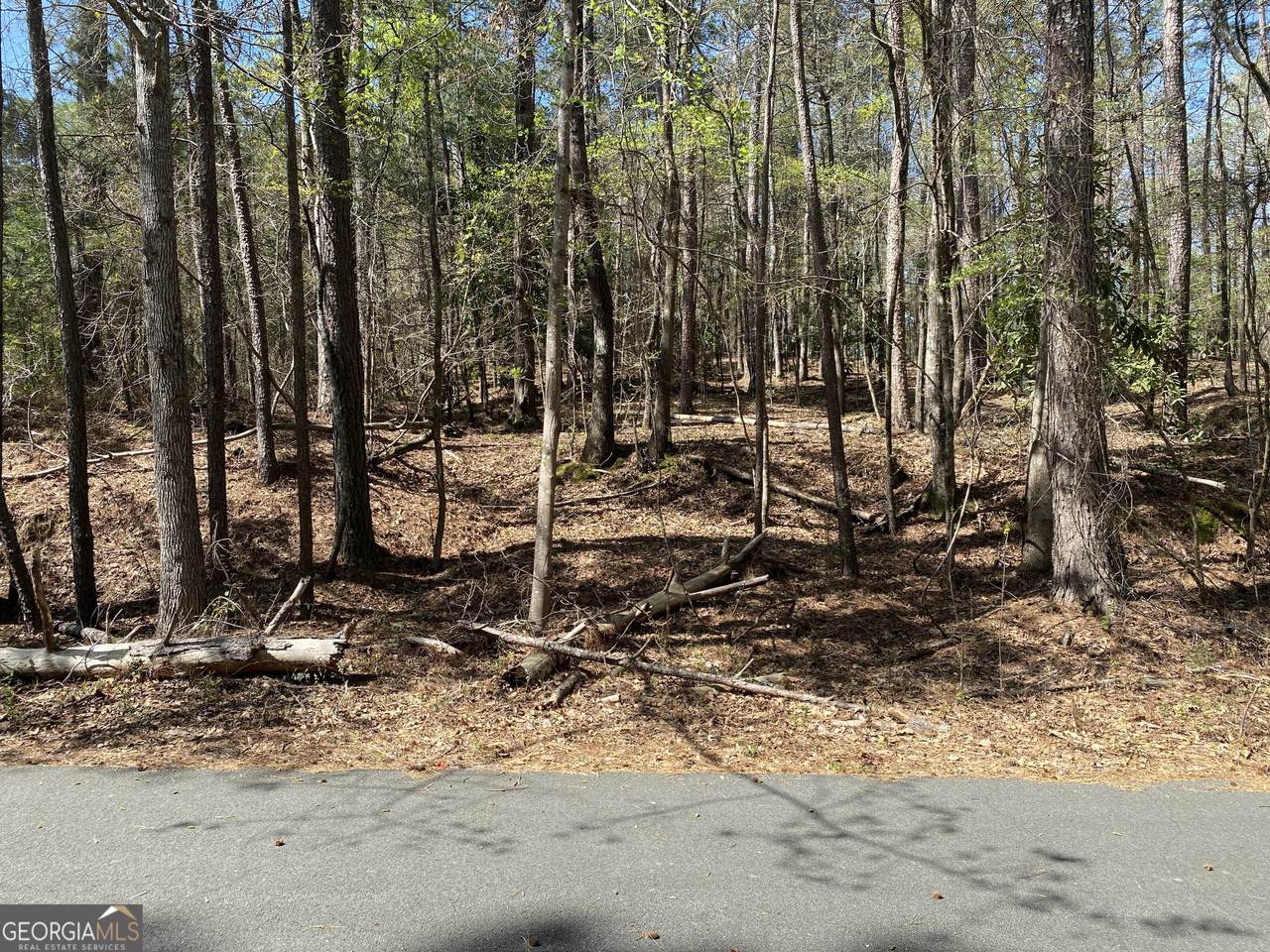 0 Sandra Drive - Photo 1