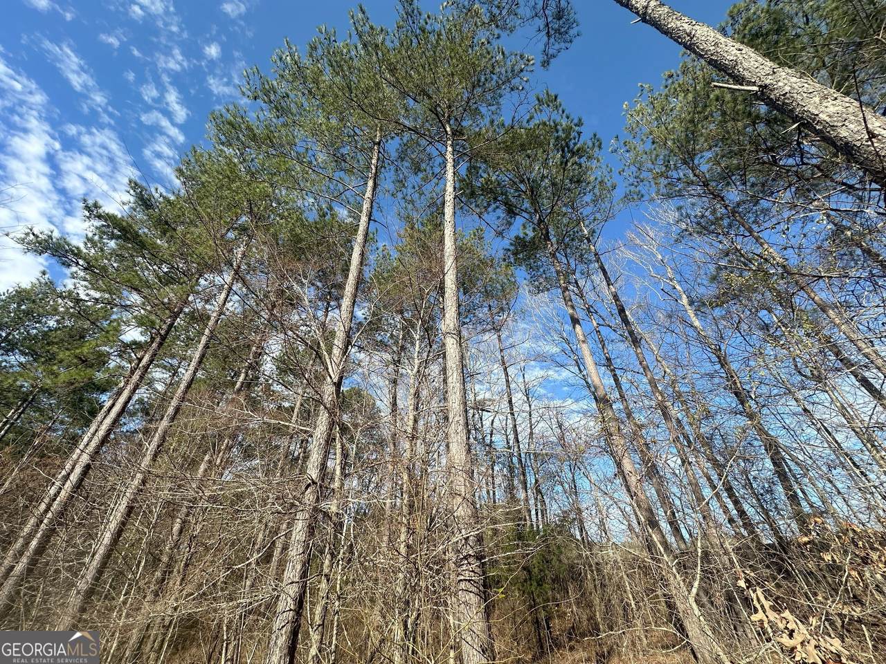 0 Ruckersville Road - Photo 1