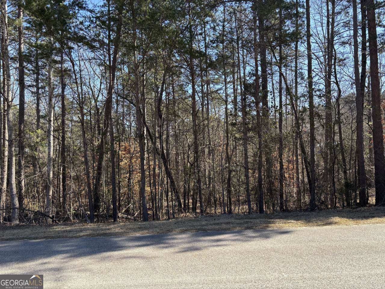 0 Skyline Way - Photo 1