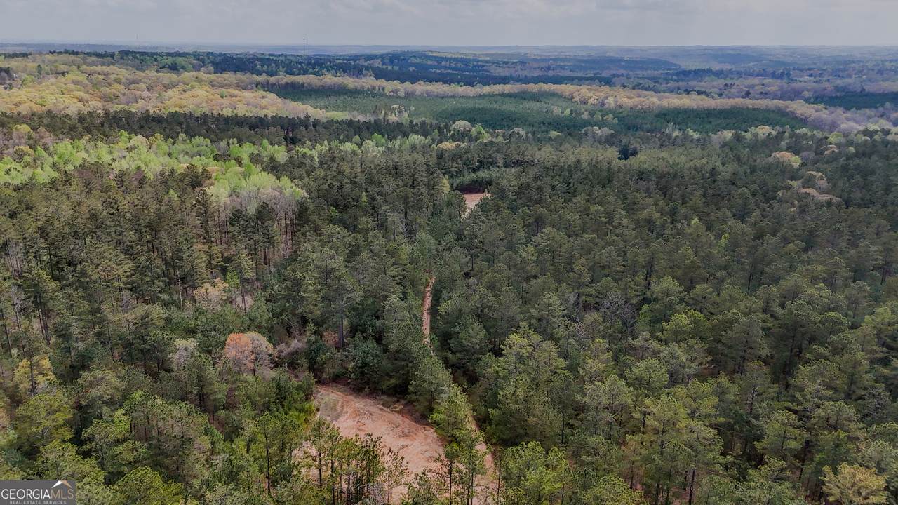 0 Wayside Road - Photo 1