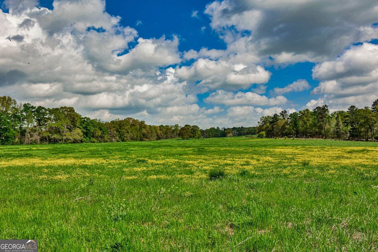 4627 Highway 212 - Photo 1