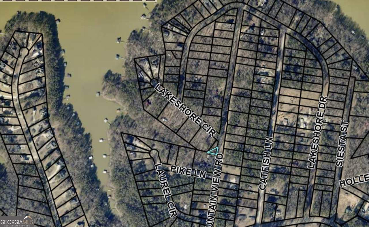 0 Mountain View Road - Photo 1